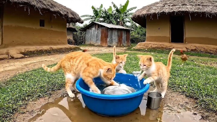 English Kids movies (Movies For Kids)  - English Movie - Movie - # English animation movie English (