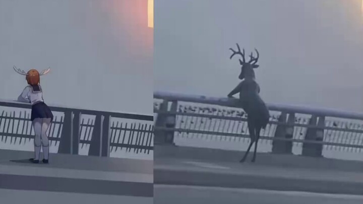 Meme Patung Pasir Harian Gambar 54 Video aslinya hilang