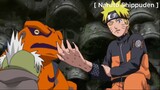 Naruto Shippuden : ที่ว่าตายเพราะกลายเป็นกบ