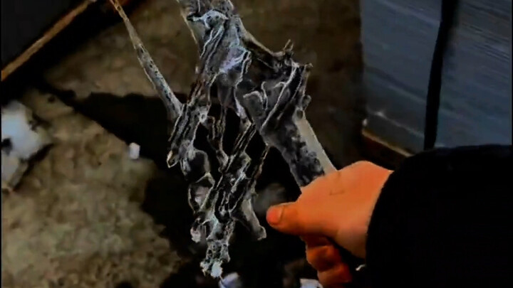 ใครจะเข้าใจคุณค่าอันล้ำค่าของช่วงเวลาเดียวนี้ได้บ้าง