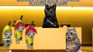 Rekam ulang tahun Tiantong dengan meme kucing