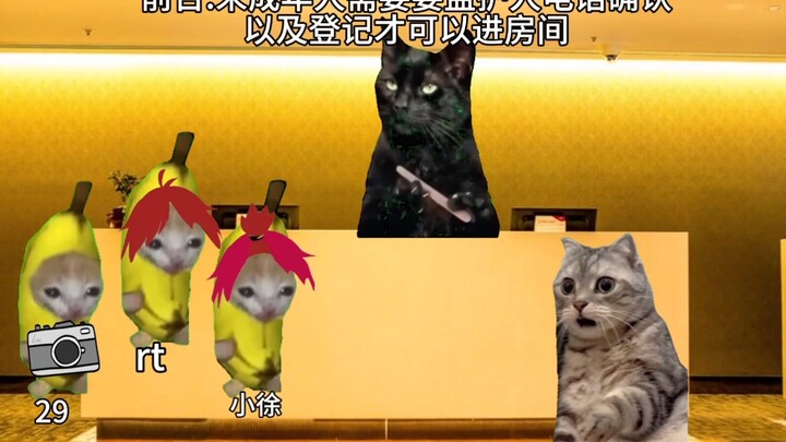 Record Tiantong’s birthday with cat meme