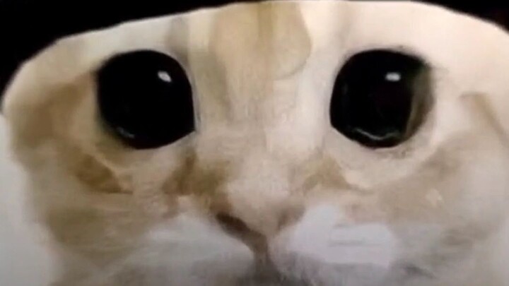 manusia yang berbuat dosa be like:...