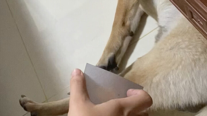 Ah! It's just plague.