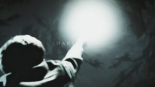 【HP】因为他知道，他不能退。