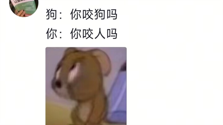 Người sợ chó mua một chú chó sợ người