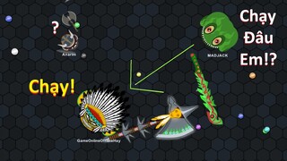 EvoWars.io - #247 : Thổ Dân Level 20 "Chạy Trốn" Ếch Level 14 và Cái Kết ...