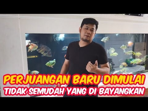 LANGKAH AWAL UNTUK MENYERAHKAN IKAN DALAM STATUS DILINDUNGI ATAU APPENDIX 1 DI MEGATANK