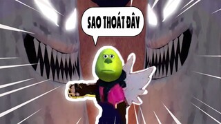 ROBLOX Và 1 Ngày Đi Troll Với Trái Ác Quỷ SOUL Trong BLOXFRUITS