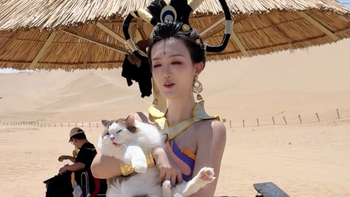 I brought my cat to the Mingshashan and Crescent Lake desert, and a cosplayer even helped us find wa