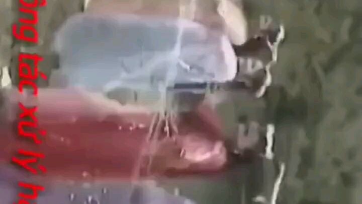 gthggggg