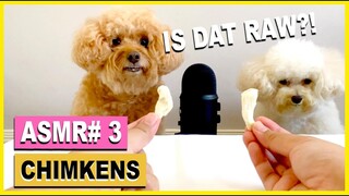 ASMR DOG# 3- Toy Poodles review RAW, COOKED, AIR-DRIED, & FREEZE-DRIED CHICKEN| The Poodle Mom