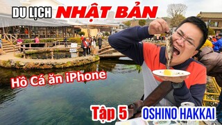 Khám phá Hồ Cá Koi "ăn iPhone" tại Làng Oshino Hakkai | DU LỊCH NHẬT BẢN