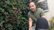 ASMR EATING BIOLOGICAL BLACKBERRIES & COLORING TIGER
