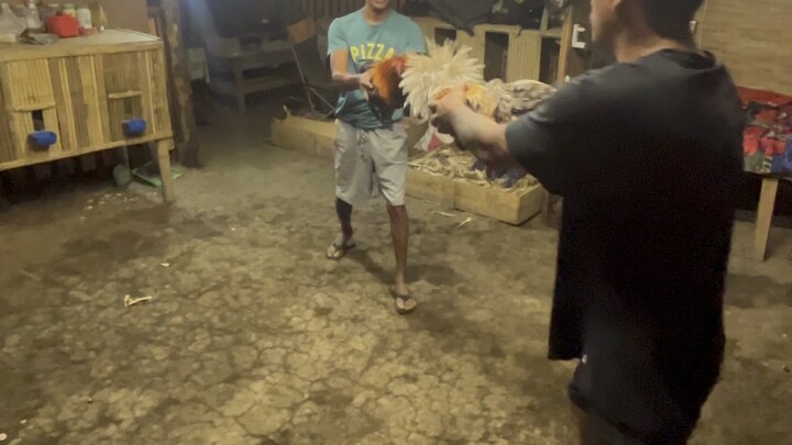 Melsims Black (Last Spar) Schedule for Feb. 28 2 Hits Ulutan NGSC