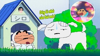 Review Shin Cậu Bé Bút Chì Tổng Hợp Phần 55 | #CHIHEOXINH | Shin Dành Nhà Với Bạch Tuyết