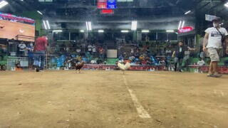 Flagrant White Win ✅ @SMC