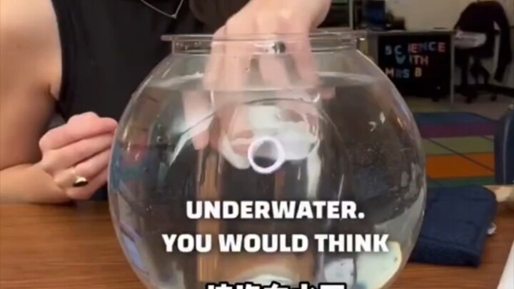 Tại sao khăn giấy bỏ vào nước lại không bị ướt? | Học từ vựng qua lướt sóng 70