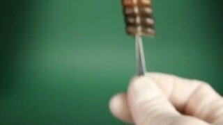 响尾蛇是怎么发出声音的？奥秘都藏在这一节节的尾巴里