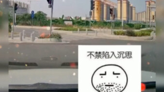 Xe cảnh sát: Chàng trai, cậu khá đấy!