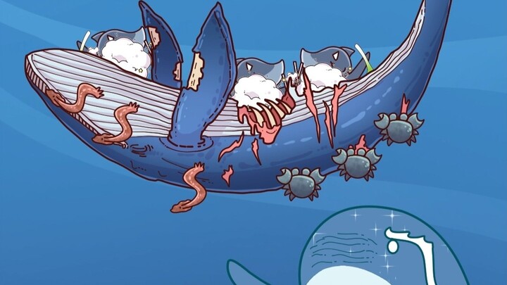 When a whale falls, life springs forth.