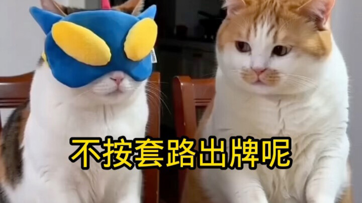 Không theo lối mòn thì sao