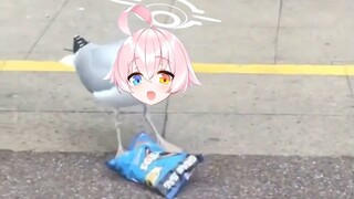 นกโฮโนะ