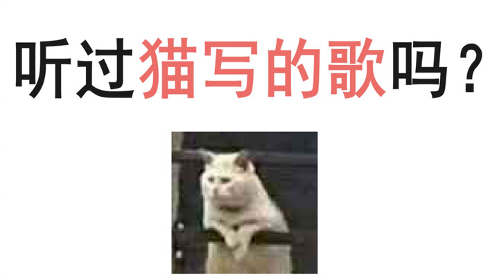 แมวของบ้านฉันเขียนเพลงได้ด้วยเหรอ?!