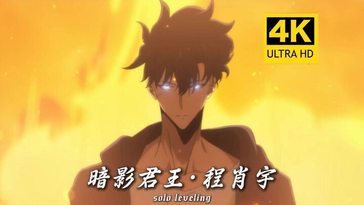 【𝟒𝐊】力量 速度 军势 全部碾压！蚂蚁王·贝尔VS暗影君王·程肖宇！！！【我独自升级第二季-起于暗影】