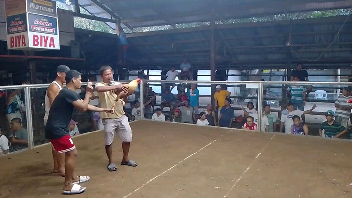 kaber 2x