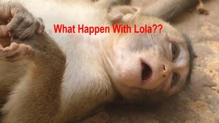 What...Happen...Happen...Happen With My Princes Lola???