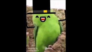 年底了，是时候展现沙雕的力量了！