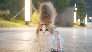 Putri pria pergi berbelanja nih~~