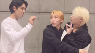 Sweet girl, you really are a fan of Wen Junhui~ It's a world where only Tutu is hurt~ Hahaha~ I don'