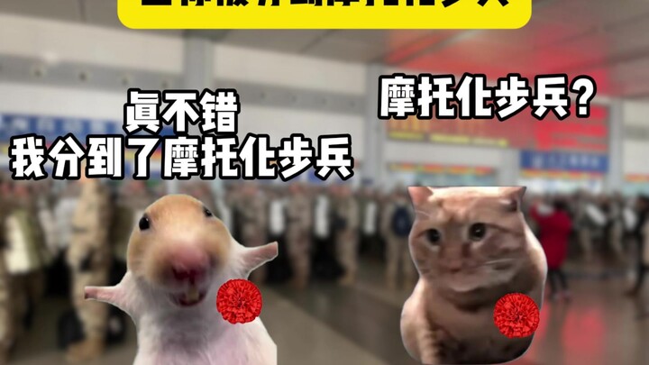 When you're assigned to the motorized infantry