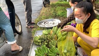 Đốn Chuối Vườn Bán Rẻ Cho Bà Con Ăn Trong Mùa Dịch | NĐMT#168