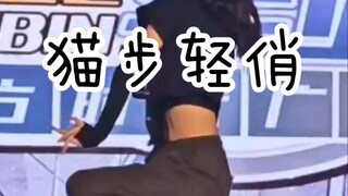 【蚊子】猫步轻俏