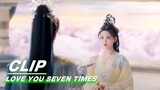 Chukong Xiangyun Descends to the World Again | Love You Seven Times EP15 | 七时吉祥 | iQIYI