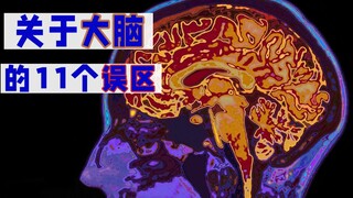 Do humans only use 10% of their brains? Science popularization: 11 common misconceptions about the b