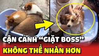 Cận cảnh TẮM 1 lúc 2 Boss, chưa bao giờ NHÀN đến thế 😮 | Yêu Lu