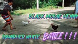 ROUNDHED WHITE VS BLACK MCRAE HENNY     SPAR!!
