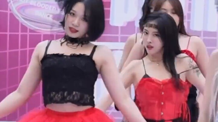 "Tôi sinh ra trần trụi, còn bạn mới là người có suy nghĩ bẩn thỉu" Road show Nxde-(G)I-DLE chụp tận 