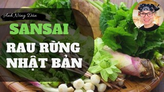 [Ẩm Thực Nhật Bản] SANSAI - Rau Rừng Truyền Thống Nhật Bản✔Anh Nông Dân