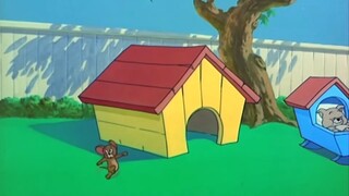 Tom and Jerry | Painting Puppy gone wrong
