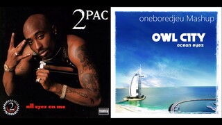 2Fly - Owl City vs. 2Pac (Mashup)