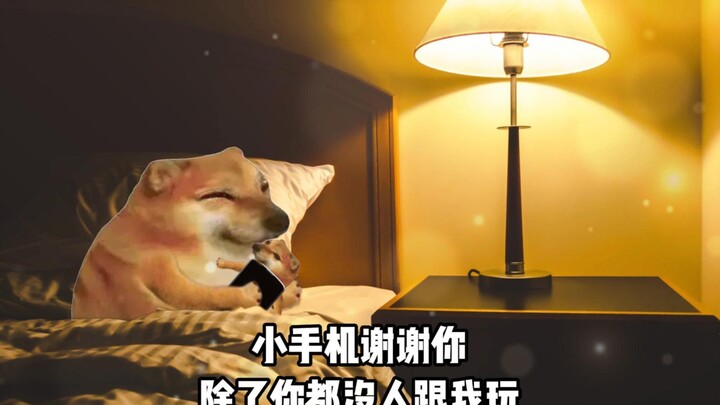 โทรศัพท์เครื่องเล็ก ขอบคุณที่เล่นกับฉัน