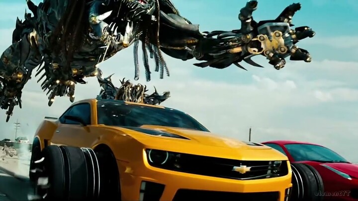 Bumblebee |  What i've done  |