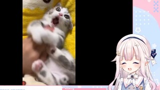 Loli Nhật Bản nhìn "You! Ya!" và không thể giữ được nữa