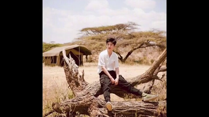 Liu Hao Ran - 莫问归期 - 蒋雪儿 动态歌词