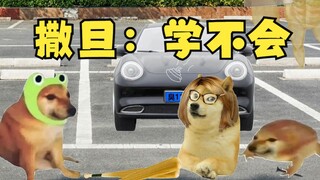 撒旦：学不会